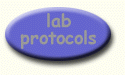 lab protocols