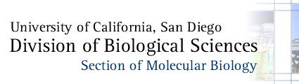 University of California, San Diego | Division of Biological Sciences | Section of Molecular Biology